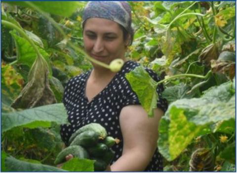Imani G. in her greenhouse in Shali